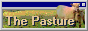 an 88x31px button. it is made to look like a window from windows 95. inside the window is a pasture. on the right there is an adult and young sheep standing together. on the bottom left are the words 'The Pasture' in pale yellow text with a navy blue shadow