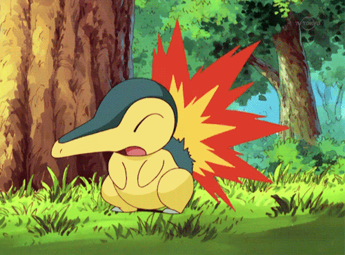 a gif of cyndaquil