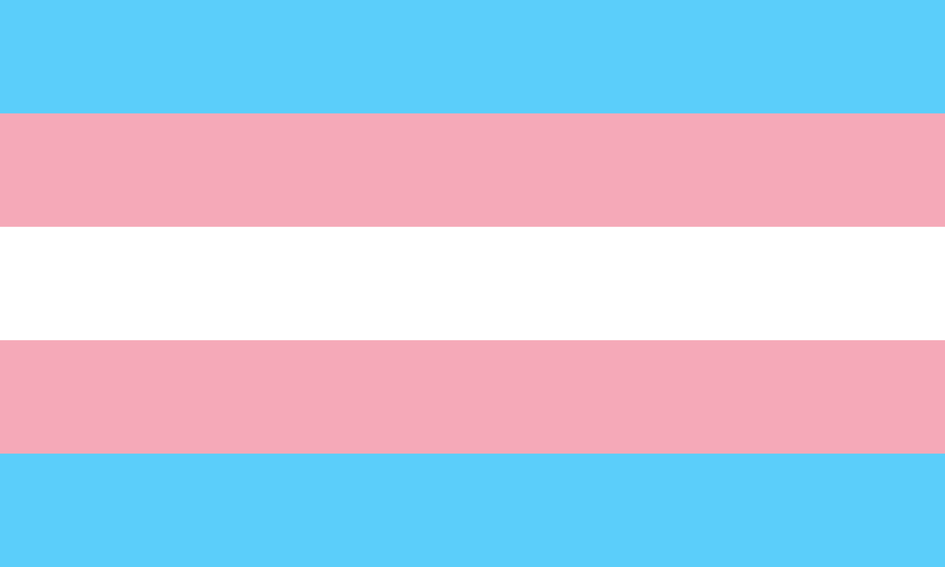 the trans pride flag