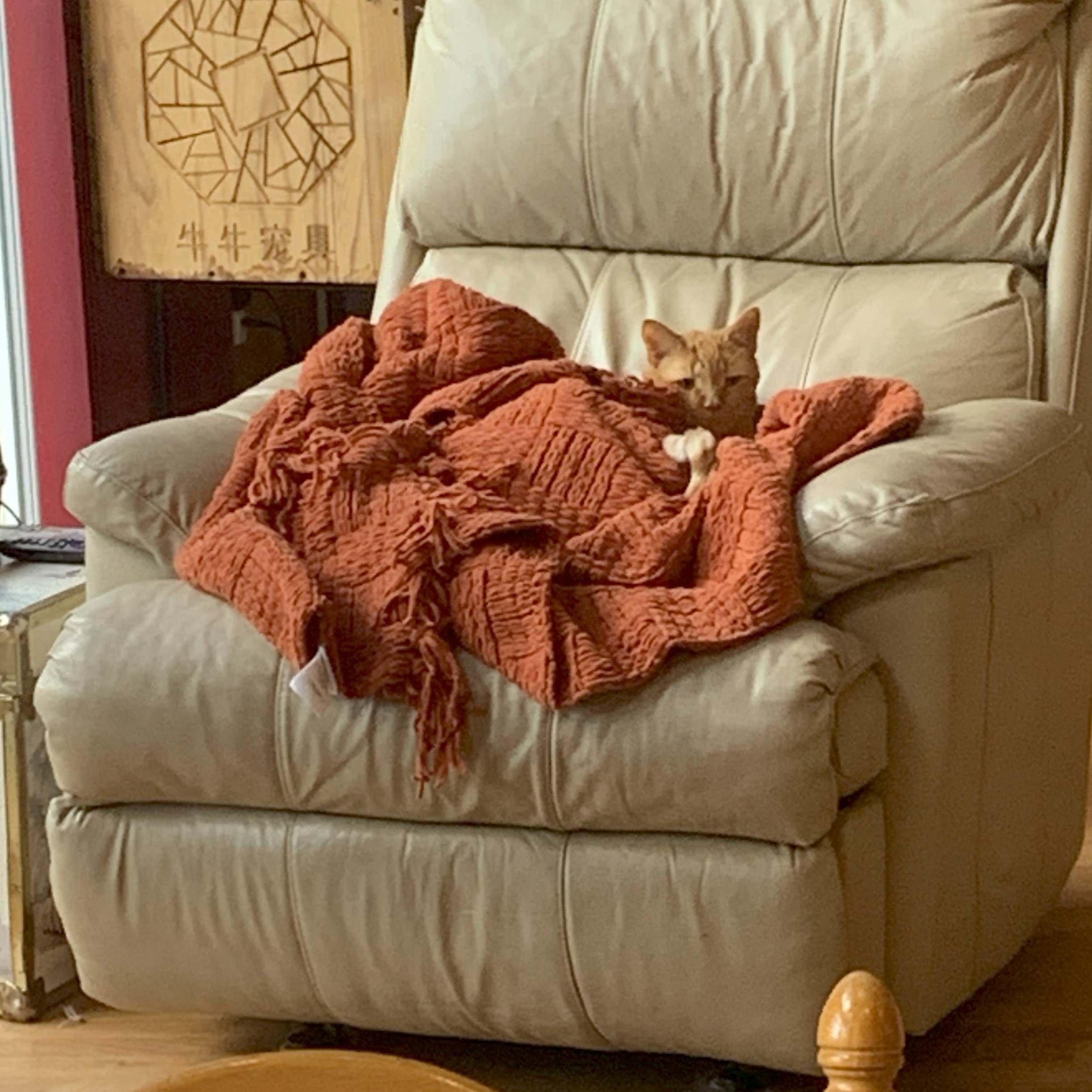 a picture of stanley lying on an orange knit blanket on a recliner, taken from far away. he is surrounded by the blanket and looks off to the side